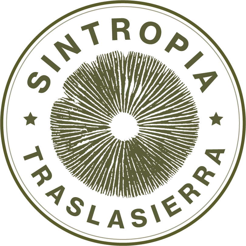 Sintropia traslasierra